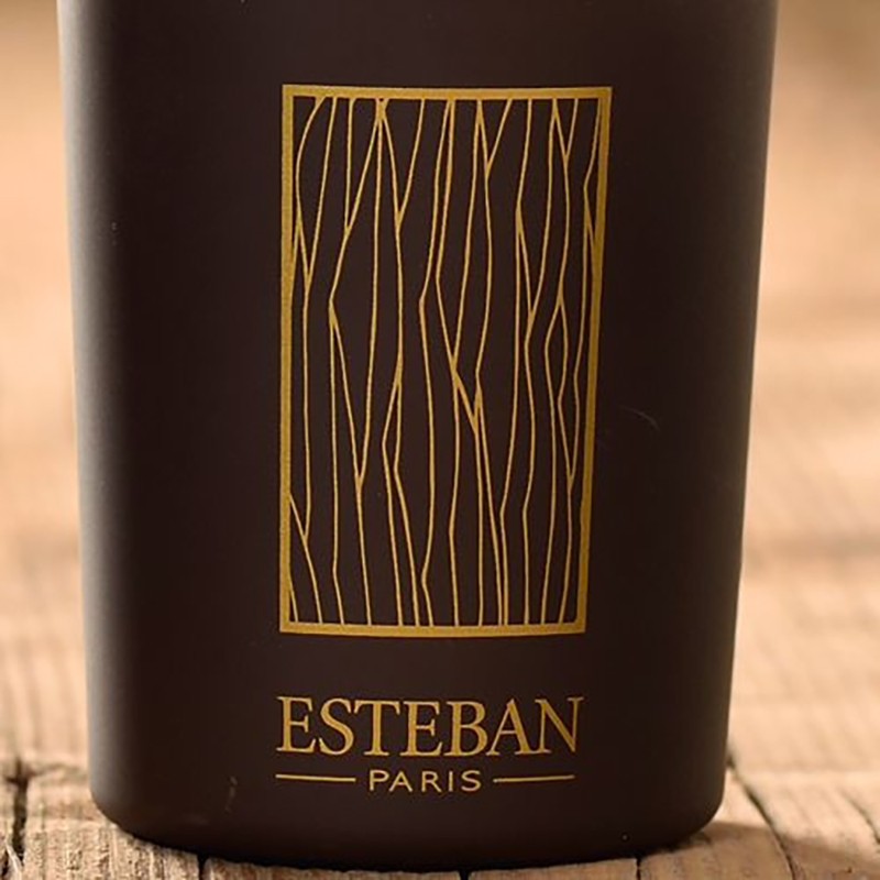 ESTEBAN - Recharge pour bouquet parfumé Cèdre 500ml