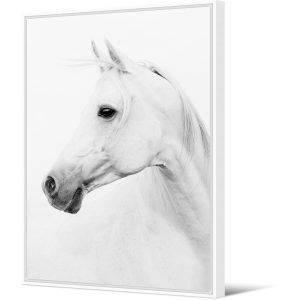 Toile encadrée cheval blanc Pôdevache